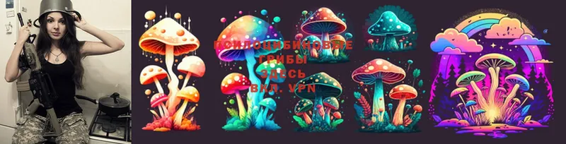 Псилоцибиновые грибы Psilocybe  Белово 